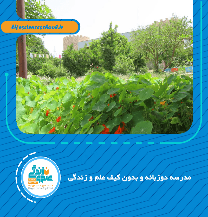 مدرسه دوزبانه و بدون کیف علم و زندگی